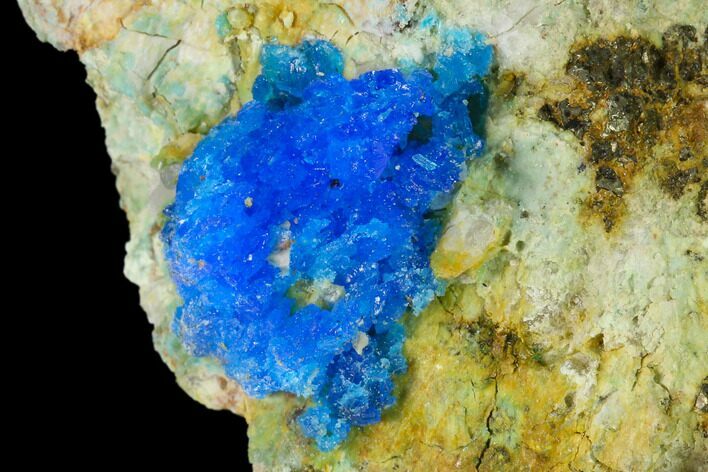 Vibrant Blue Chalcanthite Crystals - Mina Ojuela, Mexico #136843